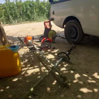 علف زن باغ باغچه حیاط کلا همه جا