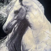 تابلو فرش ۶۰ در ۹۰|تابلو فرش|سهند, |دیوار