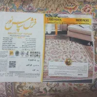 فرش ، پادری ، پشتی|فرش|سنقر, |دیوار