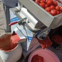 آبگیری گوجه وانگور