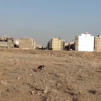 زمین-فروشی-تجاری-و-مسکونی-بر-روی-سی-متری