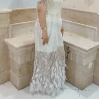 پنل شیک