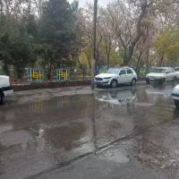 نیروی خدماتی  رستوران