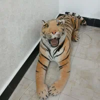 ببر تزیینی