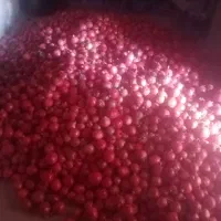 انار درجه یک سرایان