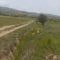 فروش-باغ