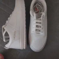 کتونی و نیم بوت|کیف، کفش، کمربند|نیشابور, شهرآرا|دیوار