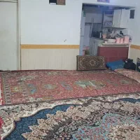 50متر-طبقه-همکف-درنظامدوست30-حسن-زاده-19