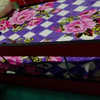 تخت کودک|تخت و سرویس خواب|قم, عمار یاسر|دیوار