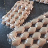 سلام|مجسمه، تندیس، ماکت|مشهد, کوشش|دیوار