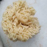 نودلیت خشک ضایعات برای گاوداری
