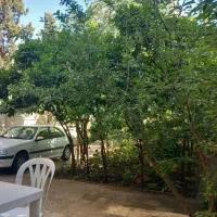 کلنگی ۲۶۳متر جمالزاده ازادی اسکندری کلهر