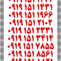 0919.4.2020.29|سیم‌کارت|اصفهان, تیران|دیوار