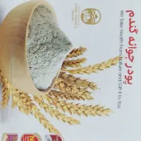 پودر جوانه گندم