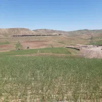 ۱/۵ هکتار زمین بر اصلی