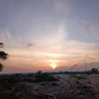 کود سفید کشاورزی