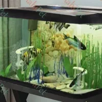 آکواریوم با تمام تجهیزات