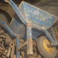 یک عدد فرغون سالم