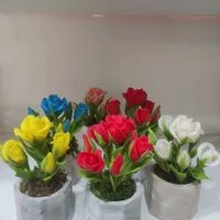 فروش گل چینی بصورت عمده