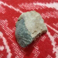 سنگ فسیل تزینی|کلکسیون اشیاء عتیقه|بروجرد, |دیوار