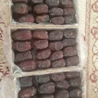 خرما جمع کن نیازمندم