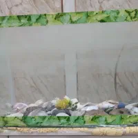 باسلام یک آکواریوم جهت معاوضه با عروس‌هلند