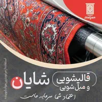 قالیشویی و مبل شویی شایان