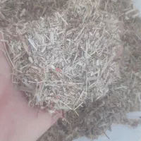 خریدو فروش کاه نرم وخارشتر