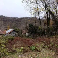 فروش زمین مسکونی 218متری جنگلی