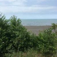 جهت کار در کافه