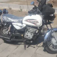 باکسر کاربرات بسیار سالم بی صدا.بدون زوزه