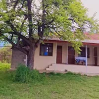 فروش ویلاباغ ۹۰۰متری سندتک برگ قیمت مناسب|فروش زمین و ملک کلنگی|شاندرمن, |دیوار