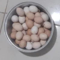 تخم مرغ