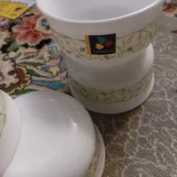 دو دست ترشی خوری فرانسه