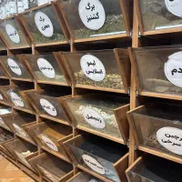 استخدام نیرو خانم یا آقا