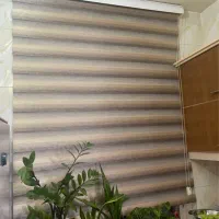 دو عدد پرده زبرا