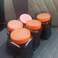 رب انار سنندج