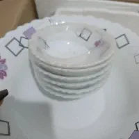 چینی  ارکوپال