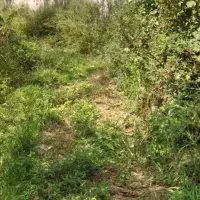 270متر-ضلع-جنوبی-ساحل