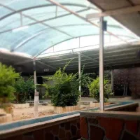 رهن و اجاره کافی شاپ یا قهوه خانه یا سفره خاه|اجارهٔ مغازه و غرفه|حمیدیا, |دیوار