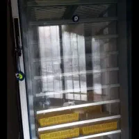 موتوردرحدخشک به شرط میدم یک دستگاه جوجه کشی 1000|موتورسیکلت|انبارآلوم, |دیوار