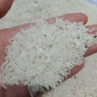 برنج هاشمی اصیل درشت