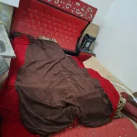 شادگان