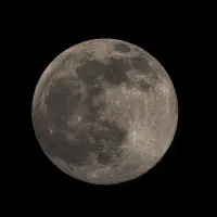 استخدام نیرو
