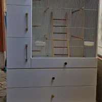 قفس برنده زیبا شکیل|لوازم جانبی حیوانات|شیراز, شهرک گلستان|دیوار