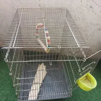۴عدد قفس سالم