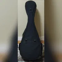 سافت کیس تار ایرانی