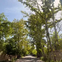 1000مترویلایی-قابل-سکونت-تاپ-لوکیشن-کوچه-باغی
