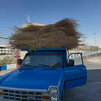 جاروی فراشی شهرداری