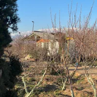 500 متر زمین باغ باغچه سندتک برگ سهیلیه زعفرانیه|فروش زمین و ملک کلنگی|کرج, دهقان ویلا|دیوار